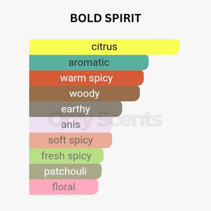 BOLD SPIRIT | INSPIRED BY DAVID BECKHAM