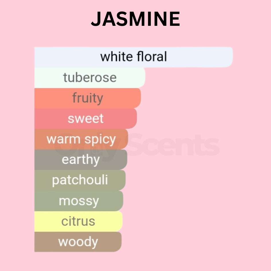 JASMINE | INSPIRED BY GUCCI BLOOM INTENSE